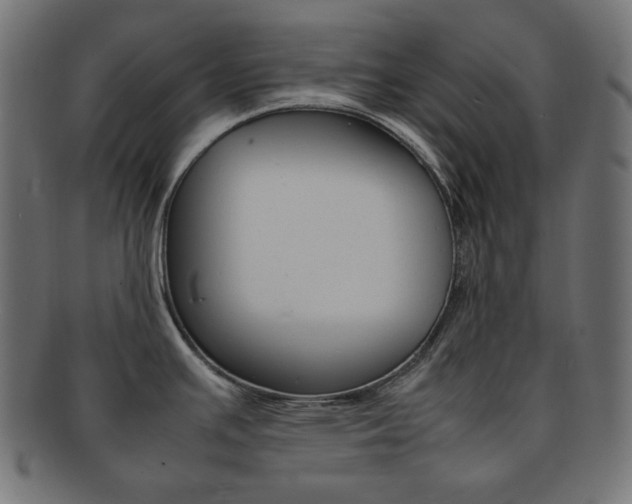 X0000092241391200709140954