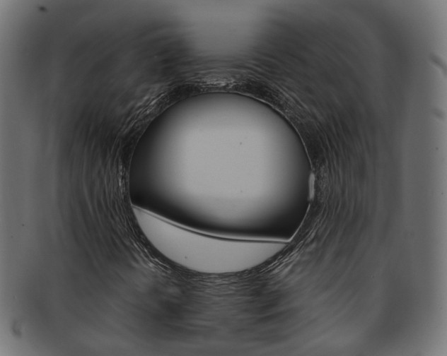 X0000092241394200709140954