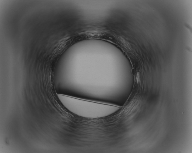 X0000092241396200709140954
