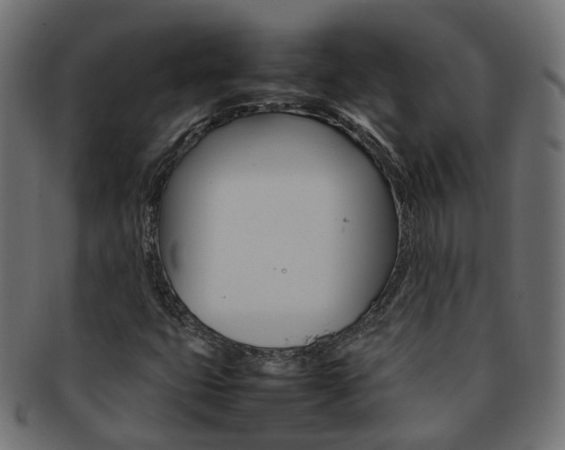 X0000092241399200709140954