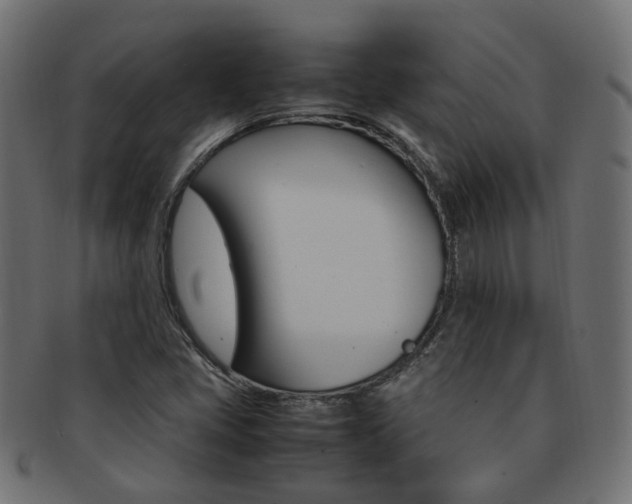 X0000092241405200709140954