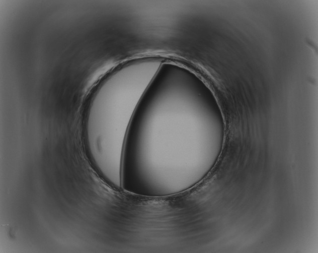 X0000092241406200709140954