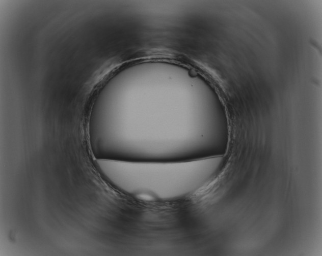 X0000092241407200709140954