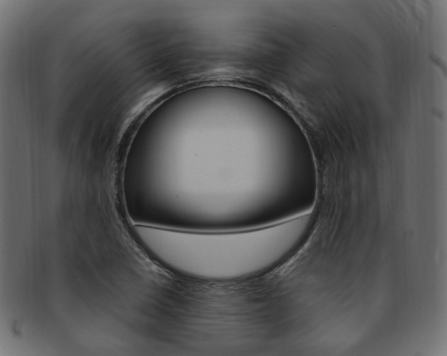 X0000092241410200709140954