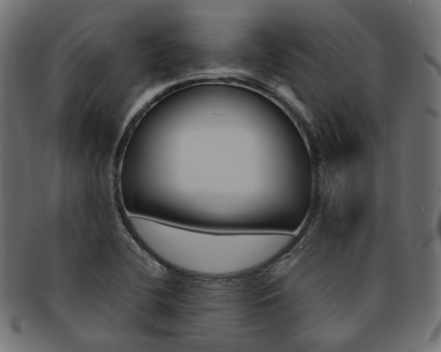 X0000092241412200709140954