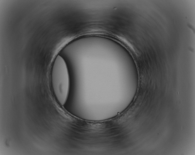 X0000092241413200709140954