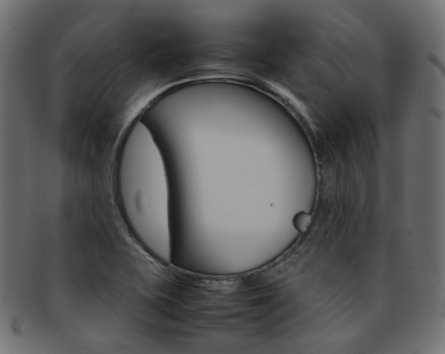 X0000092241415200709140954