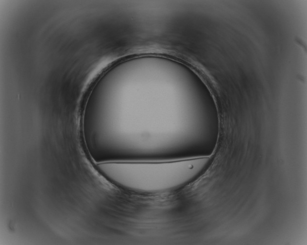 X0000092241416200709140954