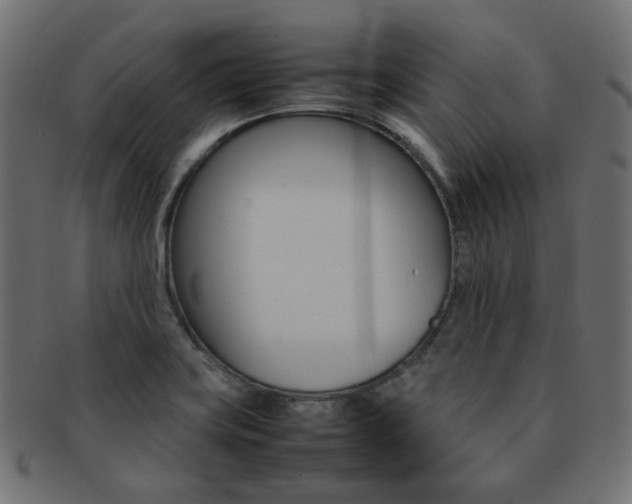 X0000092241419200709140954