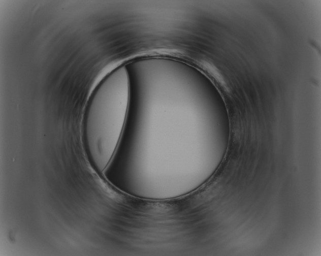 X0000092241420200709140954