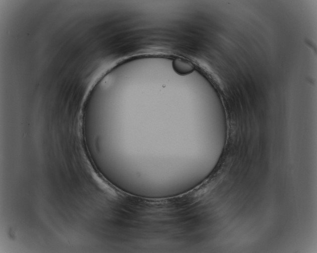 X0000092241421200709140954