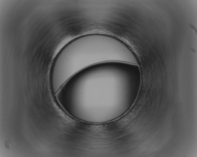 X0000092241422200709140954