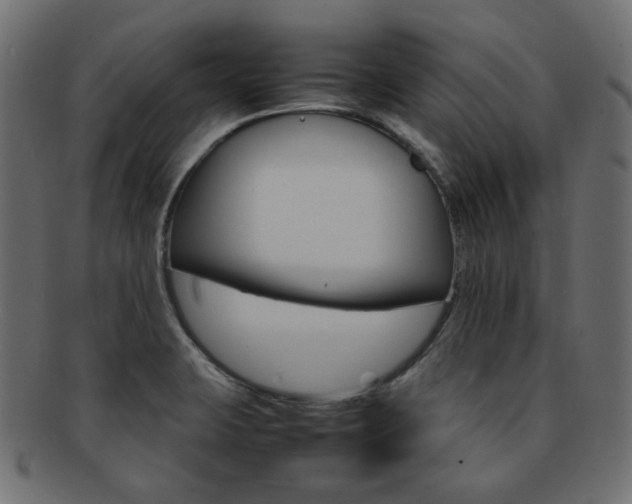 X0000092241423200709140954