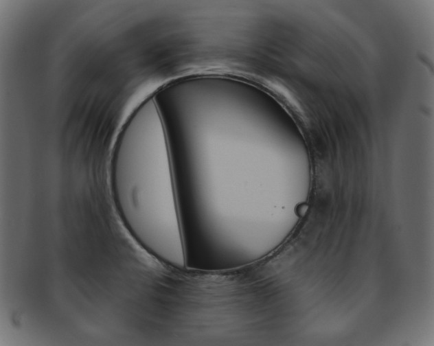 X0000092241424200709140954