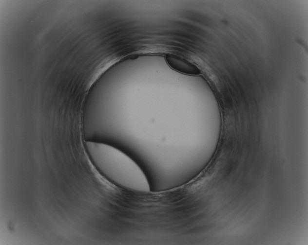 X0000092241425200709140954