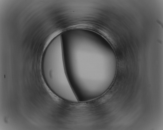 X0000092241426200709140954