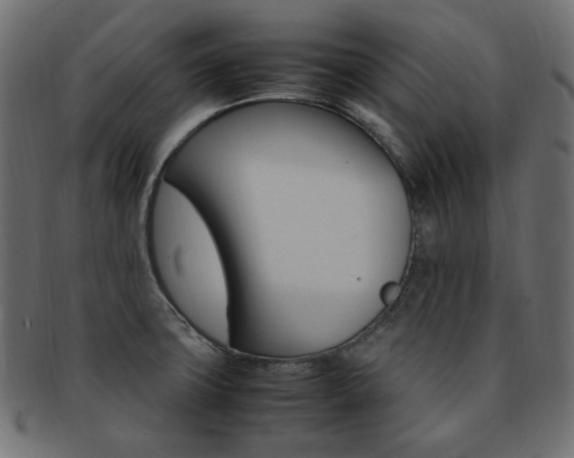 X0000092241427200709140954