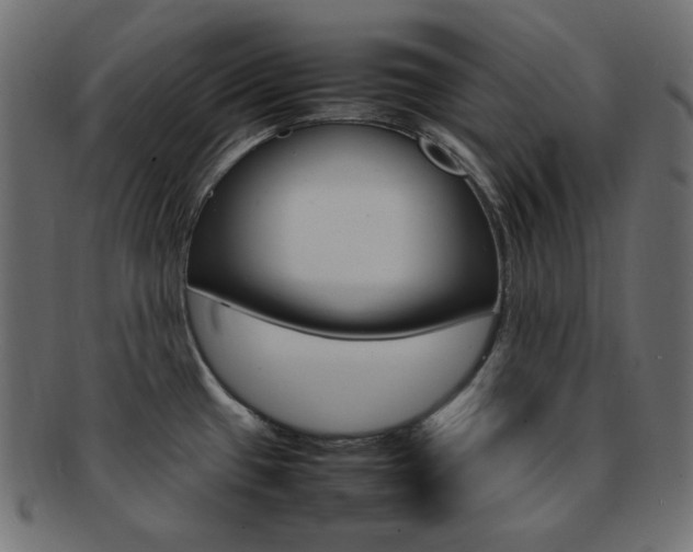 X0000092241433200709140954