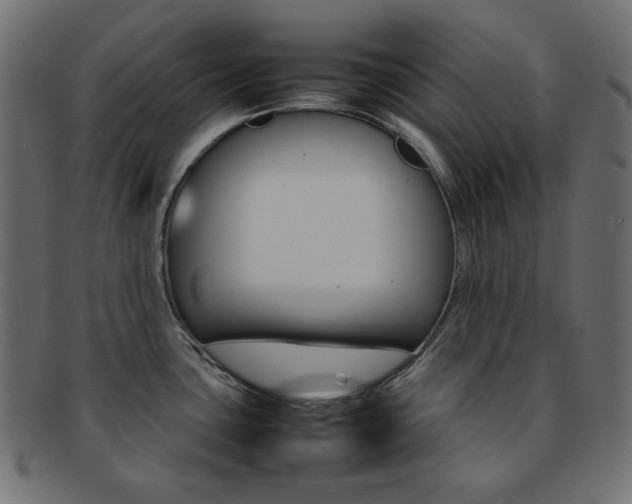X0000092241435200709140954