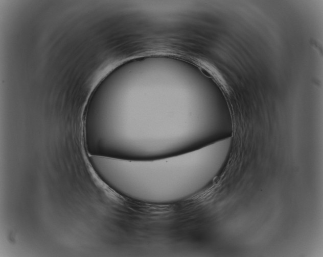 X0000092241439200709140954