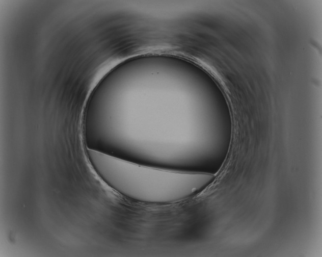 X0000092241440200709140954