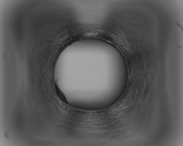 X0000092241441200709140953