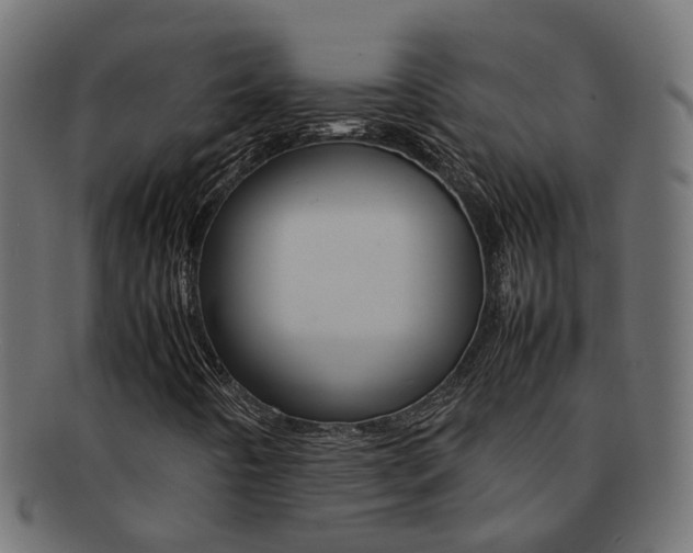 X0000092241442200709140953