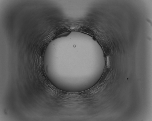 X0000092241443200709140953