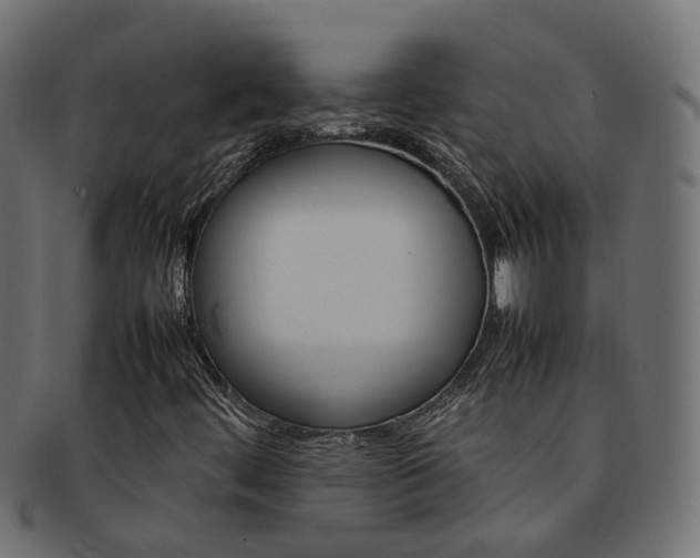 X0000092241444200709140953