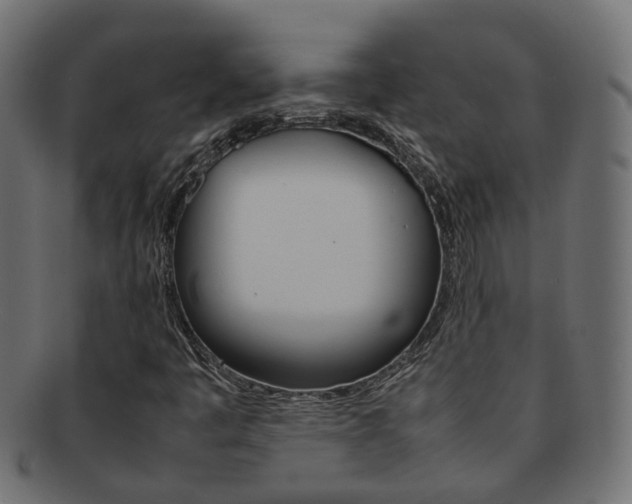 X0000092241445200709140953