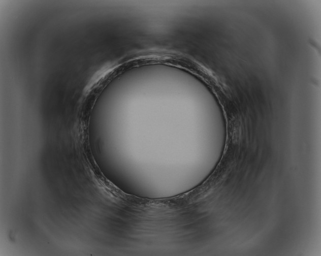X0000092241448200709140953