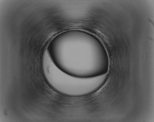 X0000092241449200709140953
