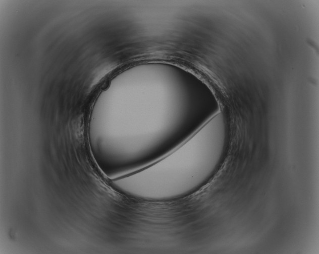 X0000092241450200709140953
