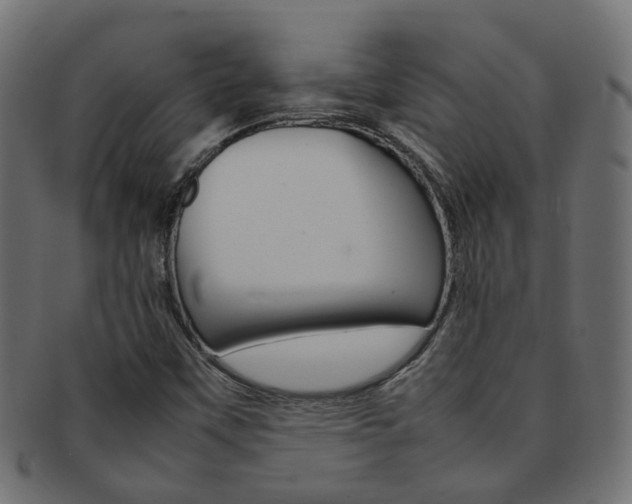X0000092241451200709140953