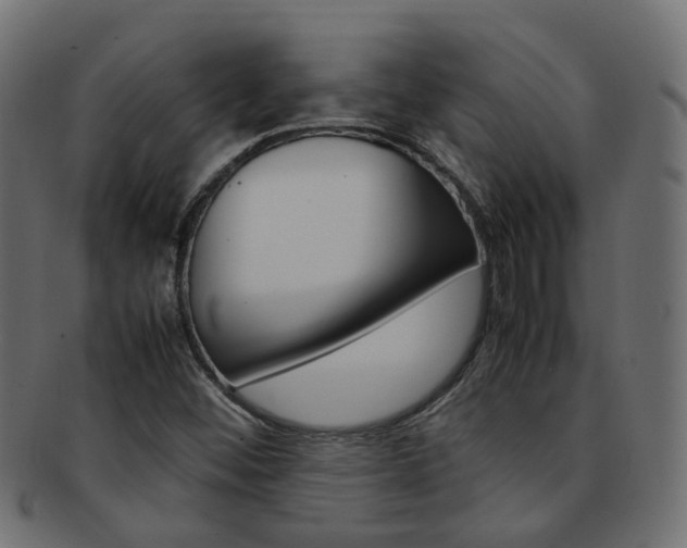 X0000092241452200709140953