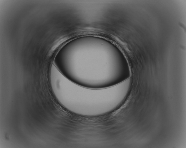 X0000092241453200709140953