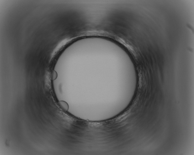 X0000092241454200709140953