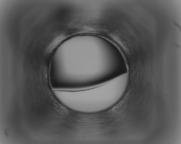 X0000092241455200709140953