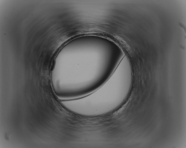 X0000092241457200709140953