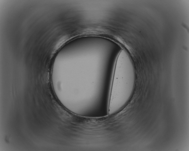 X0000092241459200709140953