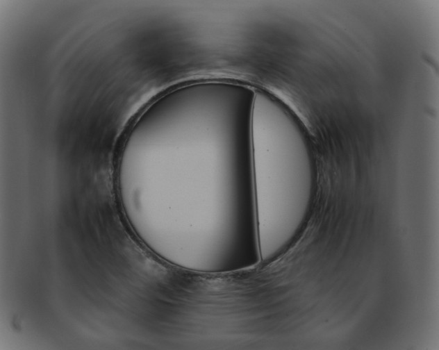 X0000092241460200709140953