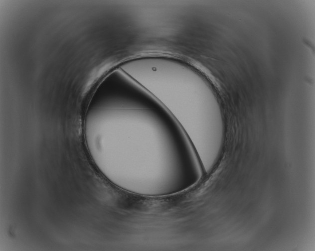 X0000092241461200709140953