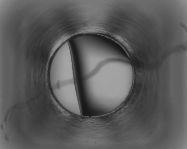 X0000092241469200709140953