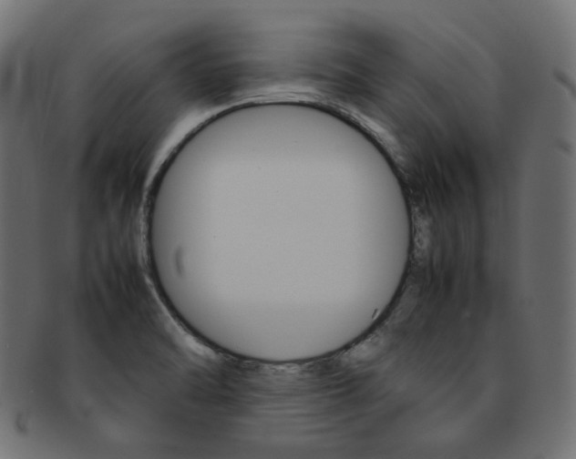 X0000092241470200709140953