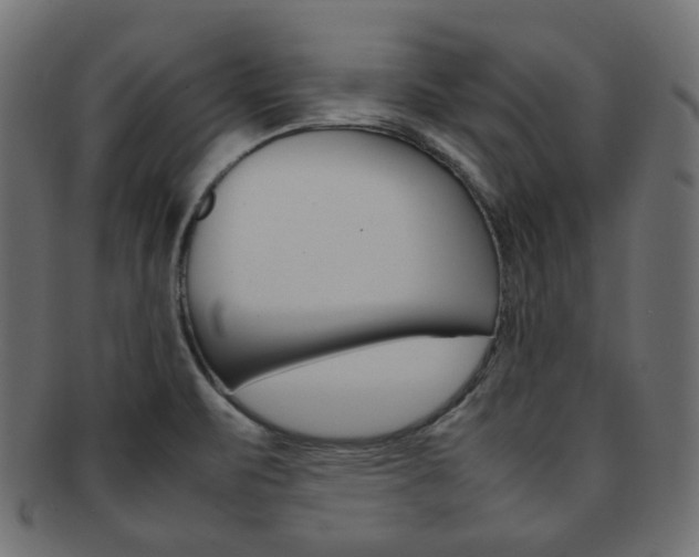 X0000092241471200709140953