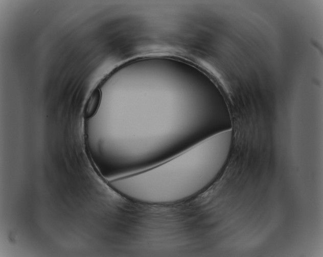 X0000092241472200709140953