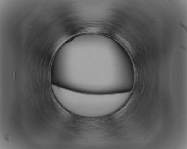 X0000092241473200709140953