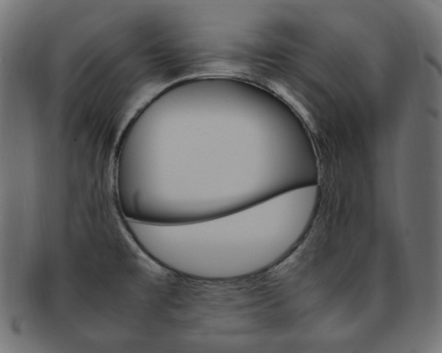 X0000092241477200709140953