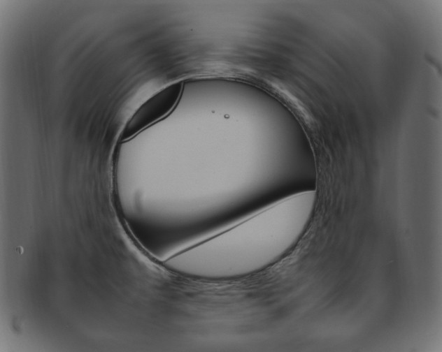 X0000092241479200709140953