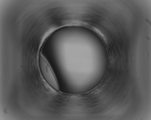 X0000092241480200709140953